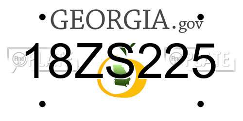 18ZS225 Georgia License Plate