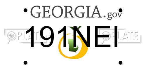 191NEI Georgia License Plate