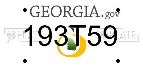 193T59 Georgia License Plate