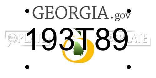 193T89 Georgia License Plate