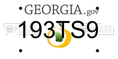193TS9 Georgia License Plate