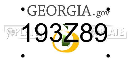 193Z89 Georgia License Plate