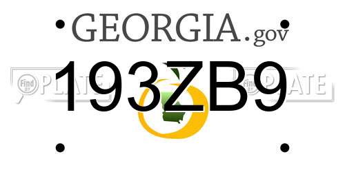 193ZB9 Georgia License Plate