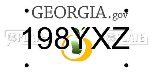 198YXZ Georgia License Plate