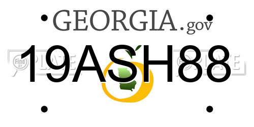 19ASH88 Georgia License Plate