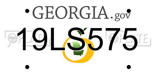 19LS575 Georgia License Plate