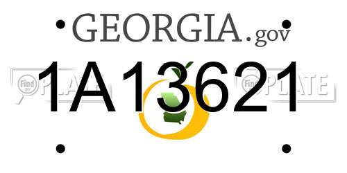 1A13621 Georgia License Plate