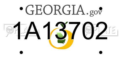 1A13702 Georgia License Plate