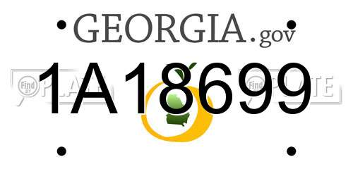 1A18699 Georgia License Plate