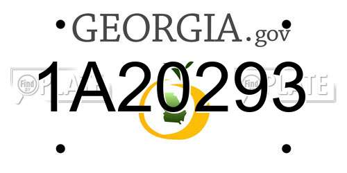 1A20293 Georgia License Plate