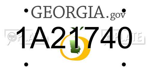 1A21740 Georgia License Plate