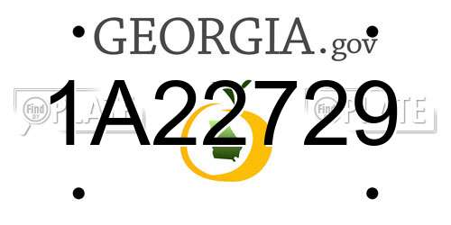 1A22729 Georgia License Plate