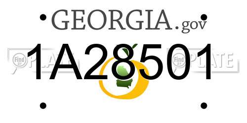 1A28501 Georgia License Plate