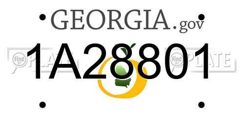 1A28801 Georgia License Plate