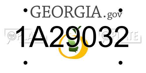 1A29032 Georgia License Plate