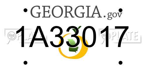 1A33017 Georgia License Plate