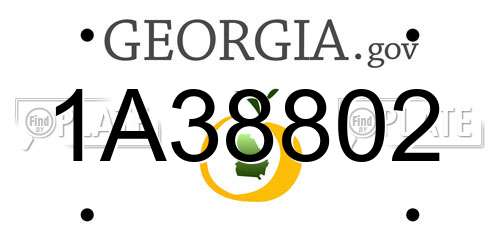 1A38802 Georgia License Plate