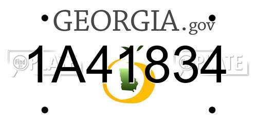 1A41834 Georgia License Plate