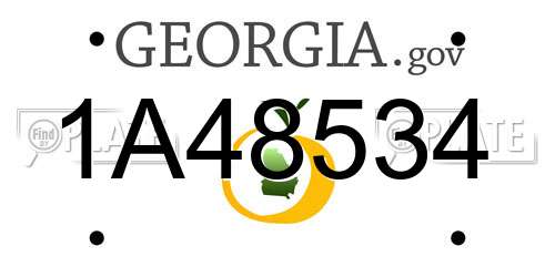 1A48534 Georgia License Plate
