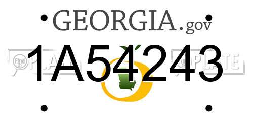1A54243 Georgia License Plate