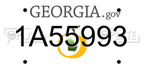 1A55993 Georgia License Plate