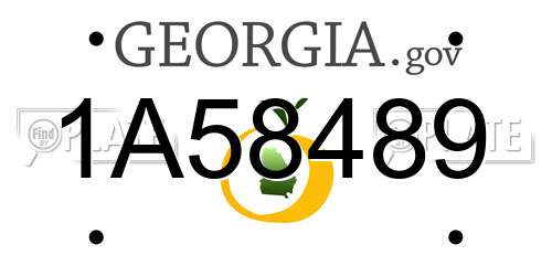 1A58489 Georgia License Plate