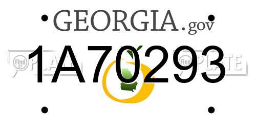 1A70293 Georgia License Plate