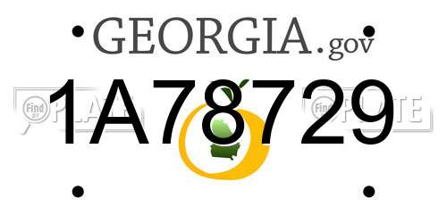 1A78729 Georgia License Plate