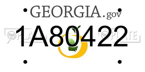 1A80422 Georgia License Plate