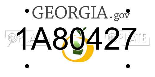 1A80427 Georgia License Plate