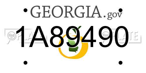 1A89490 Georgia License Plate
