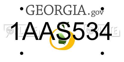 1AAS534 Georgia License Plate