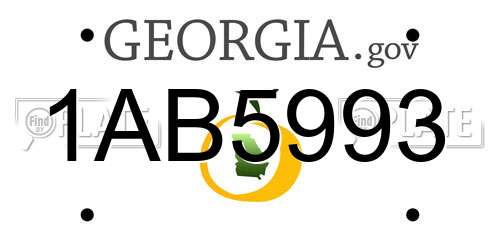 1AB5993 Georgia License Plate