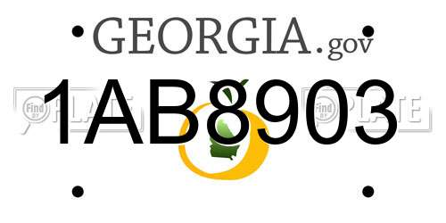 1AB8903 Georgia License Plate