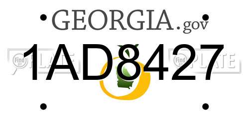 1AD8427 Georgia License Plate