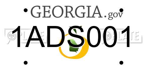 1ADS001 Georgia License Plate