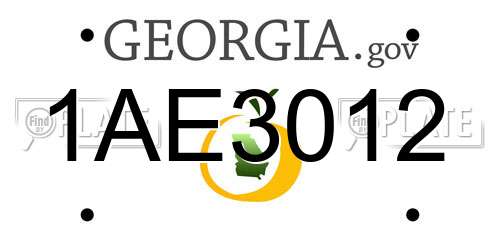 1AE3012 Georgia License Plate