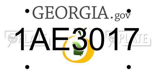 1AE3017 Georgia License Plate