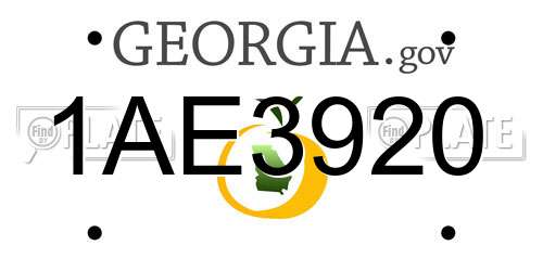 1AE3920 Georgia License Plate