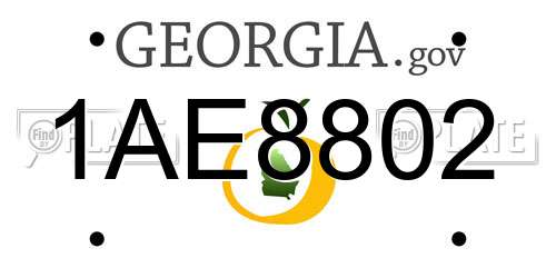 1AE8802 Georgia License Plate