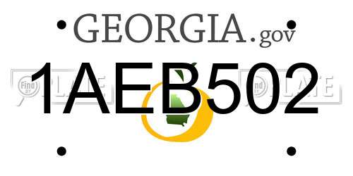 1AEB502 Georgia License Plate