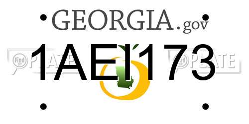 1AEI173 Georgia License Plate