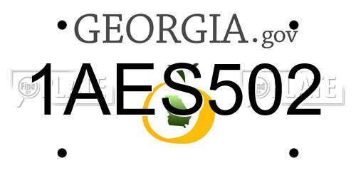 1AES502 Georgia License Plate