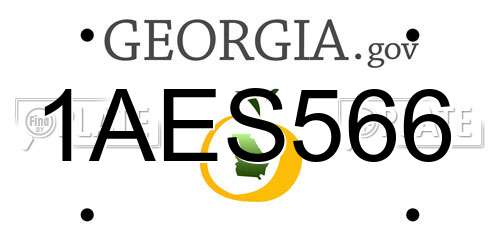 1AES566 Georgia License Plate