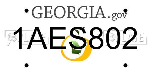 1AES802 Georgia License Plate