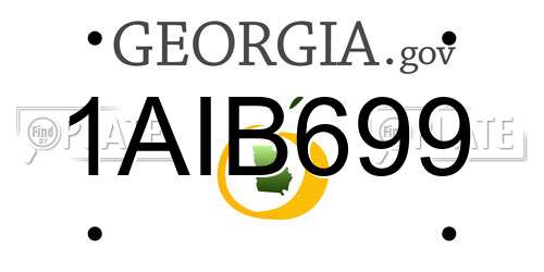 1AIB699 Georgia License Plate