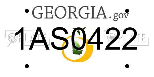 1AS0422 Georgia License Plate