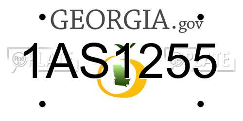 1AS1255 Georgia License Plate