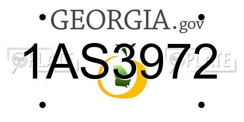 1AS3972 Georgia License Plate