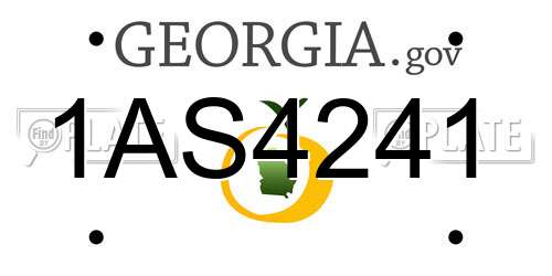 1AS4241 Georgia License Plate